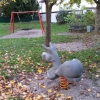 Bild 5 von 7