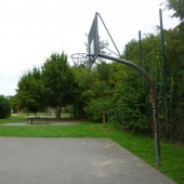 Bild 6 von 8