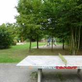 Bild 7 von 8