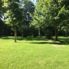 Bild 7 von 12