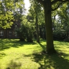 Bild 11 von 12