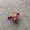 Bild 9 von 39