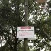 Bild 39 von 39