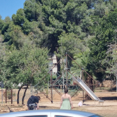 Bild vom Spielplatz anzeigen.