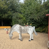 Bild vom Spielplatz anzeigen.