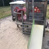 Bild 2 von 5