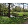 Bild 11 von 12