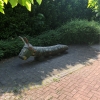 Bild 6 von 14