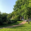 Bild 11 von 14