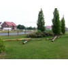 Bild 8 von 9