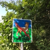 Bild 11 von 42