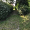 Bild 15 von 42