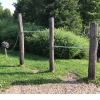 Bild 13 von 42