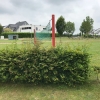 Bild 4 von 4