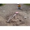Bild 3 von 7