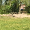 Bild 7 von 7