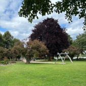 Bild vom Spielplatz anzeigen.
