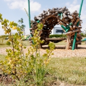 Bild vom Spielplatz anzeigen.