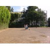 Bild 4 von 4