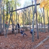 Bild 10 von 13