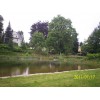 Bild 8 von 16