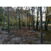 Bild 5 von 8