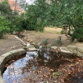 Bild vom Spielplatz anzeigen.