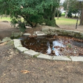 Bild vom Spielplatz anzeigen.