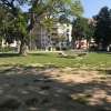 Bild 10 von 16