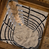 Bild vom Spielplatz anzeigen.
