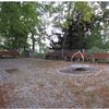 Bild 11 von 12