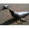 Bild 8 von 8