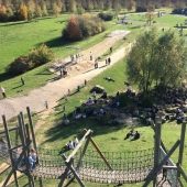 Bild 5 von 5