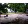 Bild 4 von 4