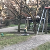 Bild 5 von 6