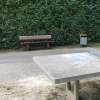 Bild 11 von 17