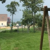 Bild 14 von 17