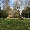 Bild 6 von 8