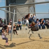 Bild 7 von 12