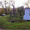 Bild 5 von 10