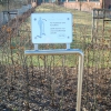 Bild 8 von 11