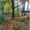 Bild 6 von 9