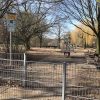 Bild 11 von 13