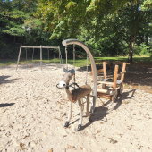Bild vom Spielplatz anzeigen.