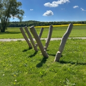 Bild vom Spielplatz anzeigen.