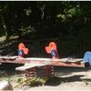 Bild 3 von 9
