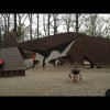 Bild 5 von 6