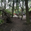 Bild 3 von 6