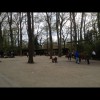 Bild 4 von 6