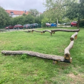 Bild vom Spielplatz anzeigen.